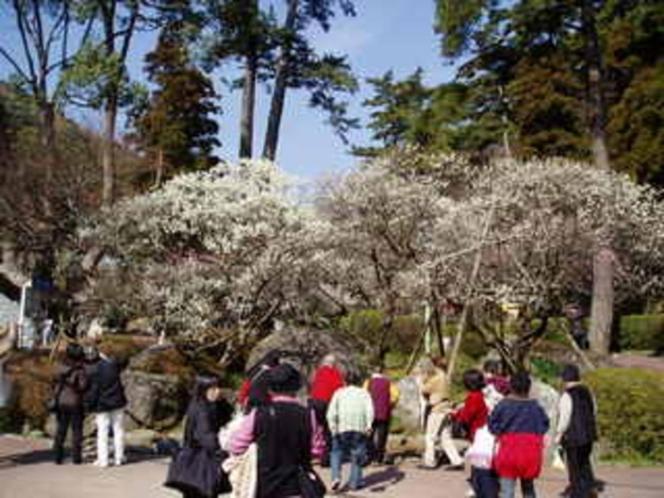 Minoya Hotel Atami (Shizuoka) Exterior foto